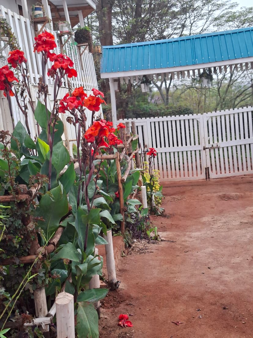 20251109 064307 Xnm39V