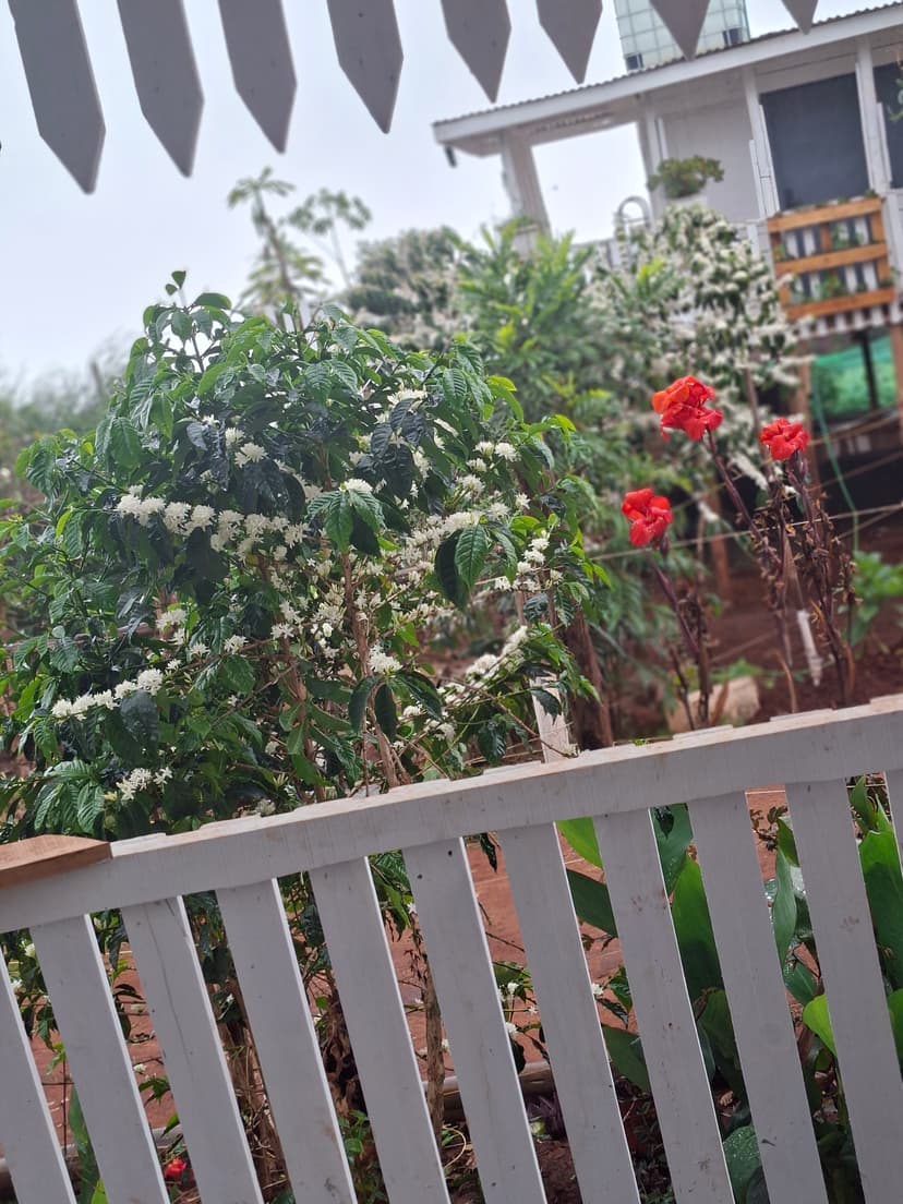 20251109 073011 Dqlkdb