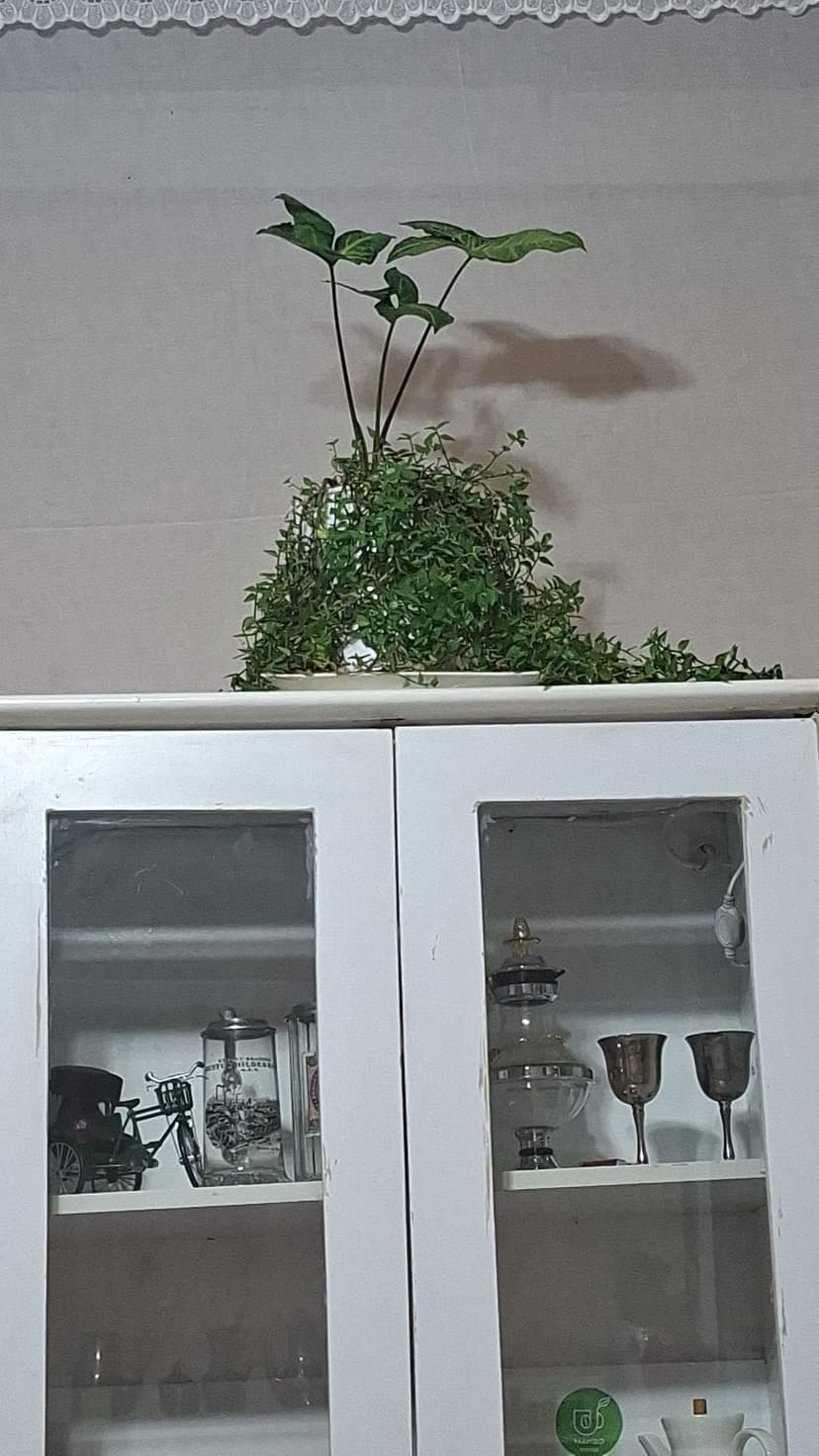 Img-20251120-Wa0030 Uqp4Dy