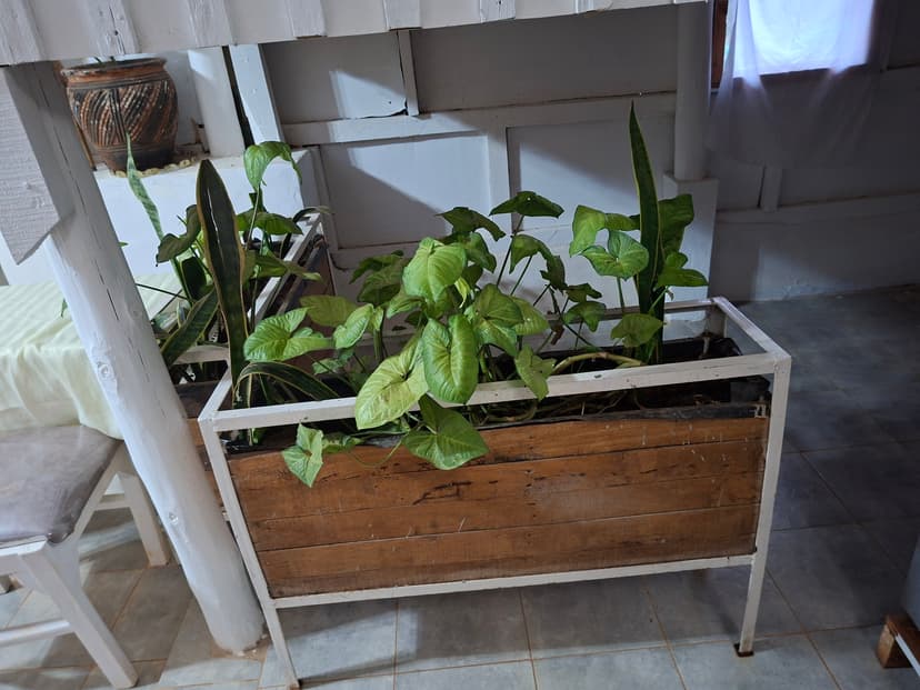 20251109 062302 Yz0Jz7