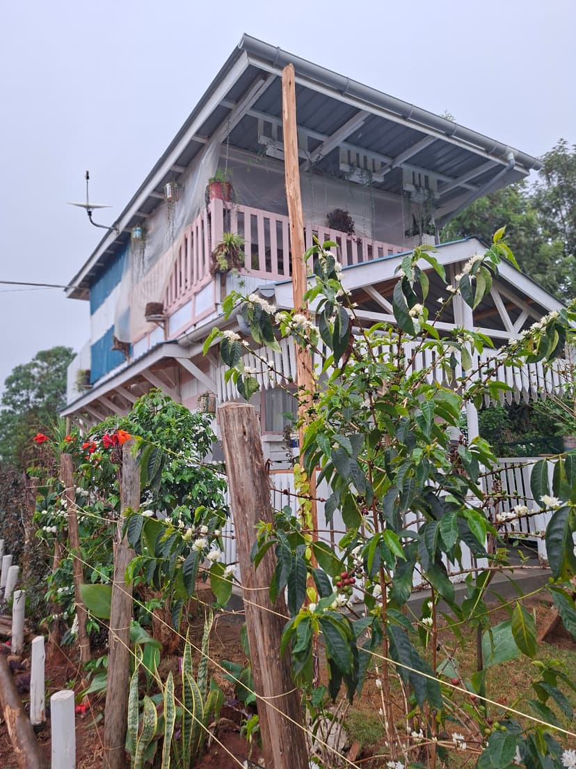 20251109 063721 E5Dyja