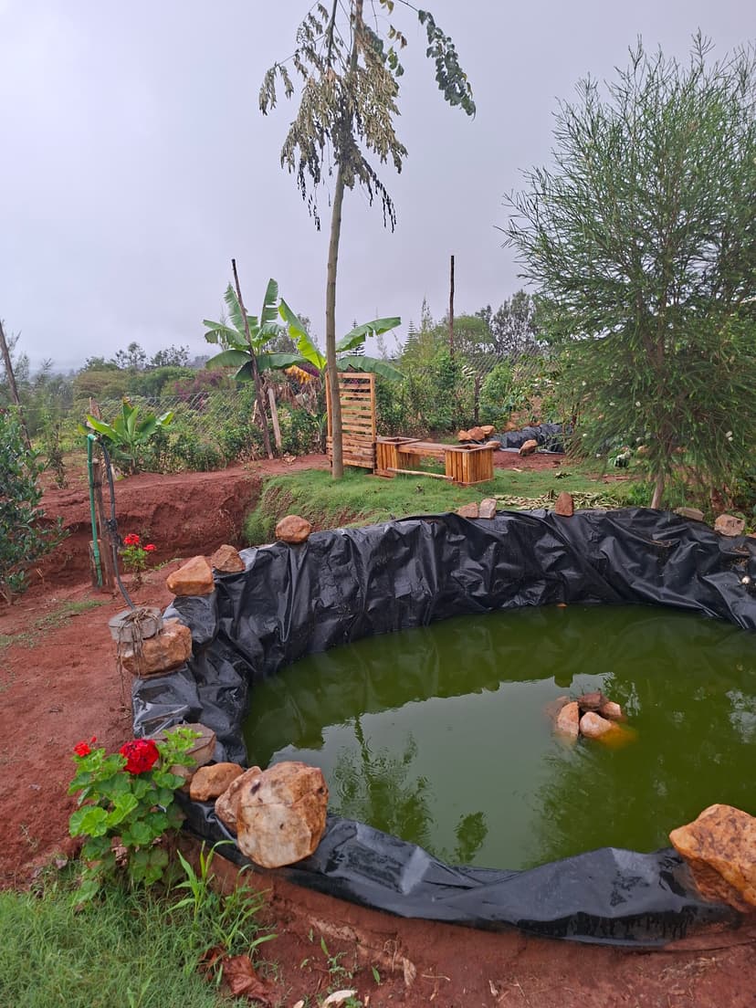 20251109 063904 Reuota