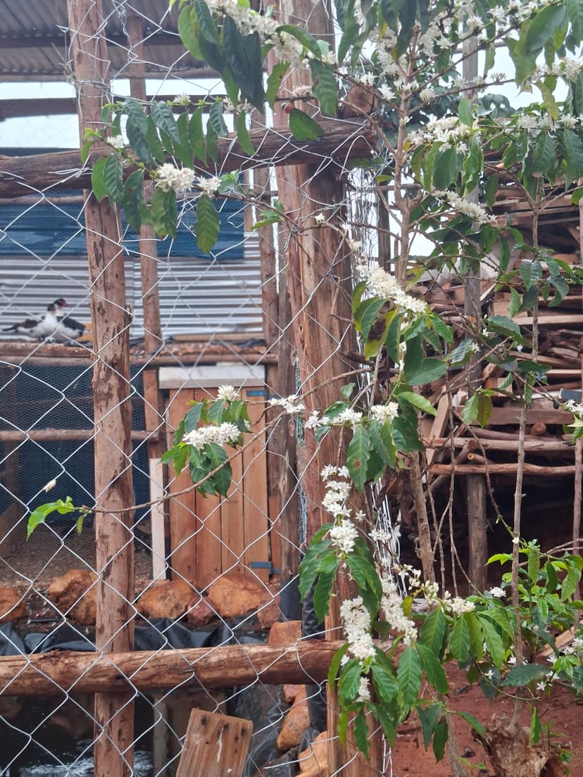 20251109 064058 Nixze5