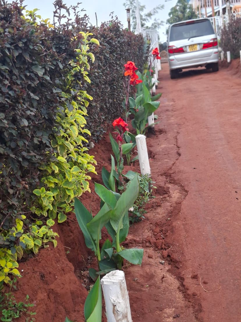 20251109 064340 Kokip8