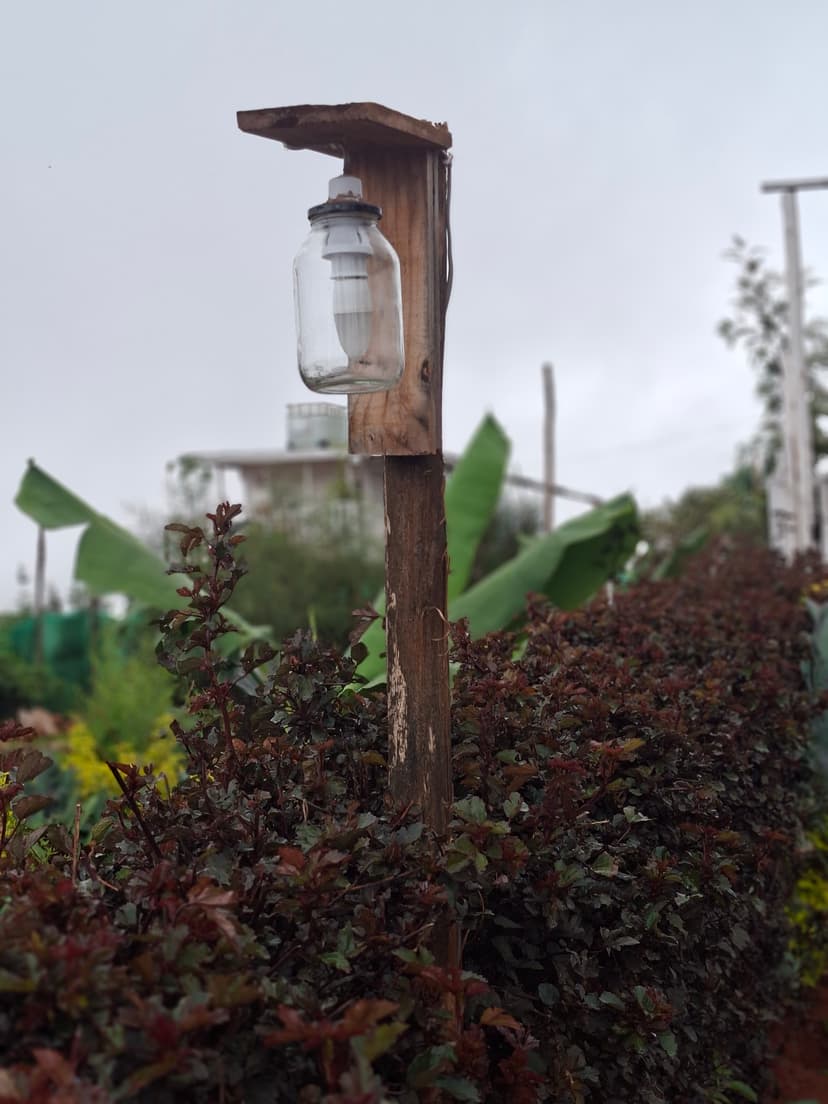 20251109 064424 Ttrv5C