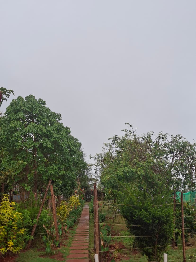 20251109 072650 Pgjw0H