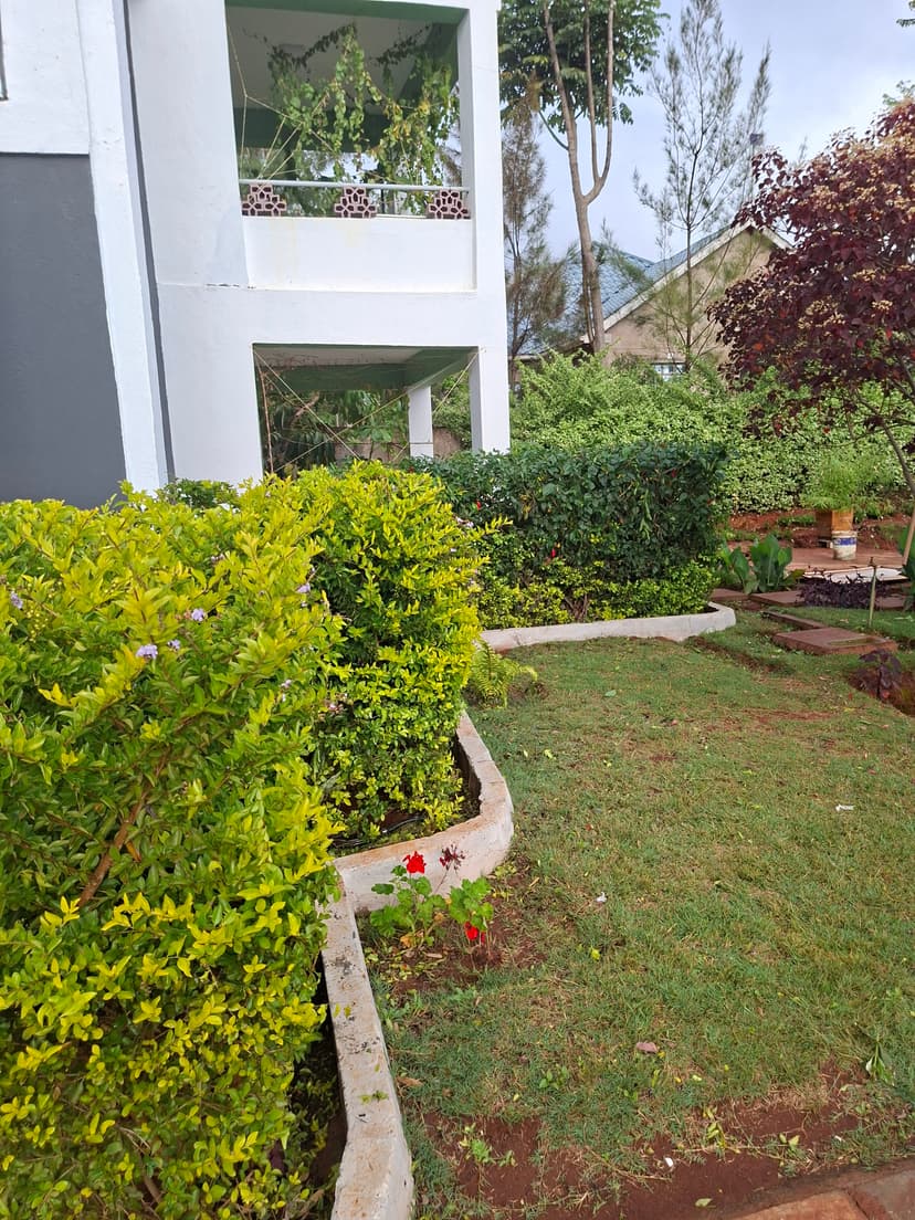 20251127 073156 Mphnl2