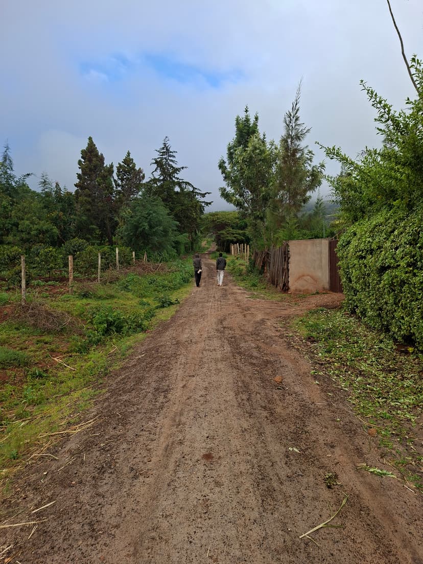 20251127 073443 Optyw9