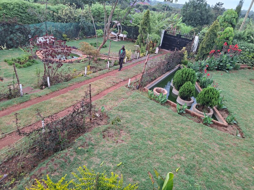 20251127 071635 Zlng4G