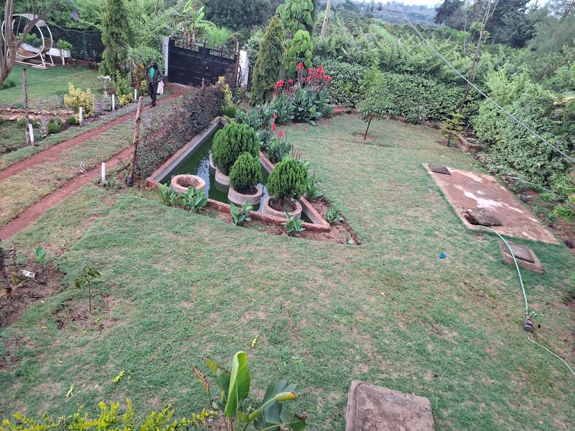 20251127 071630 Uvm6Ds