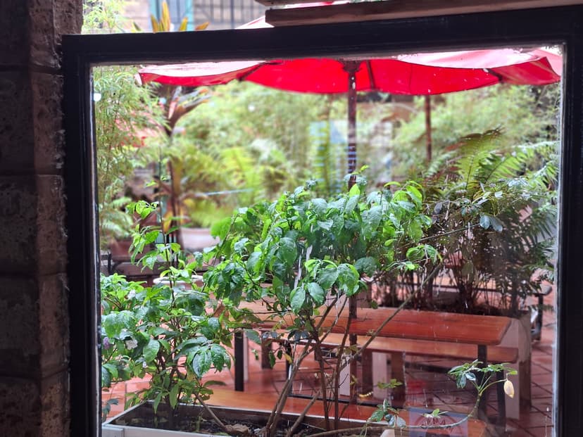 20251109 105047 W3Iyum